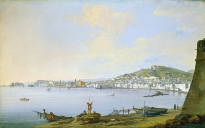 View of Naples by Saviero Xavier della Gatta